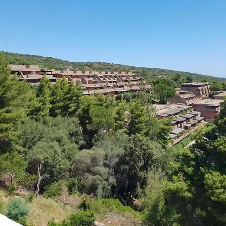 Attractive In Near Sea Olbia