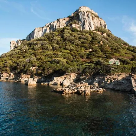 Attractive In Near Sea
