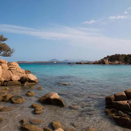 Attractive In Near Sea Apartment Olbia