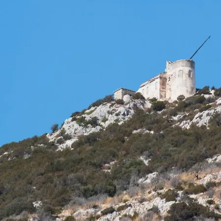 Attractive In Near Sea Olbia