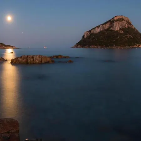 Apartment Attractive In Near Sea Olbia