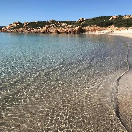 Attractive In Near Sea Olbia