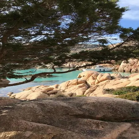 Attractive In Near Sea * Olbia
